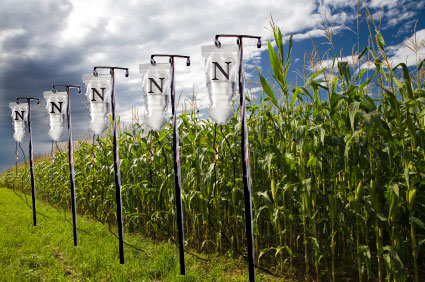 Nitrogen IVs and cornfield
