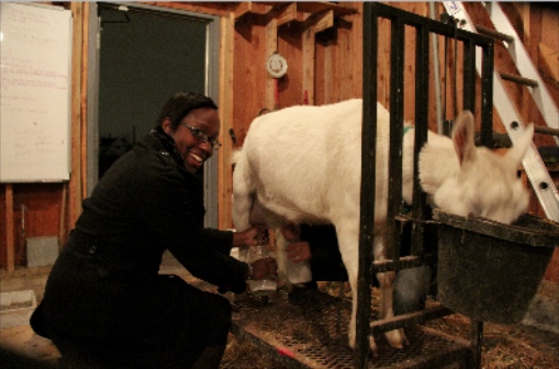 The author, milking a goat.