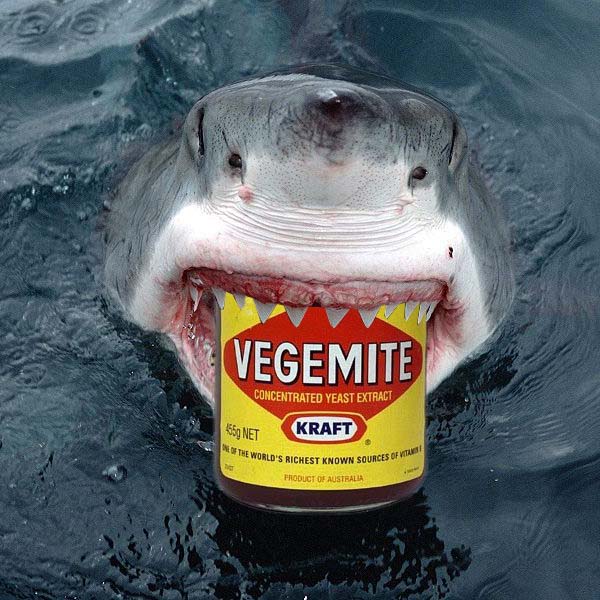 Horrible shark