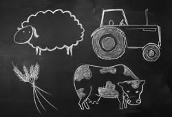chalkboard of farming life