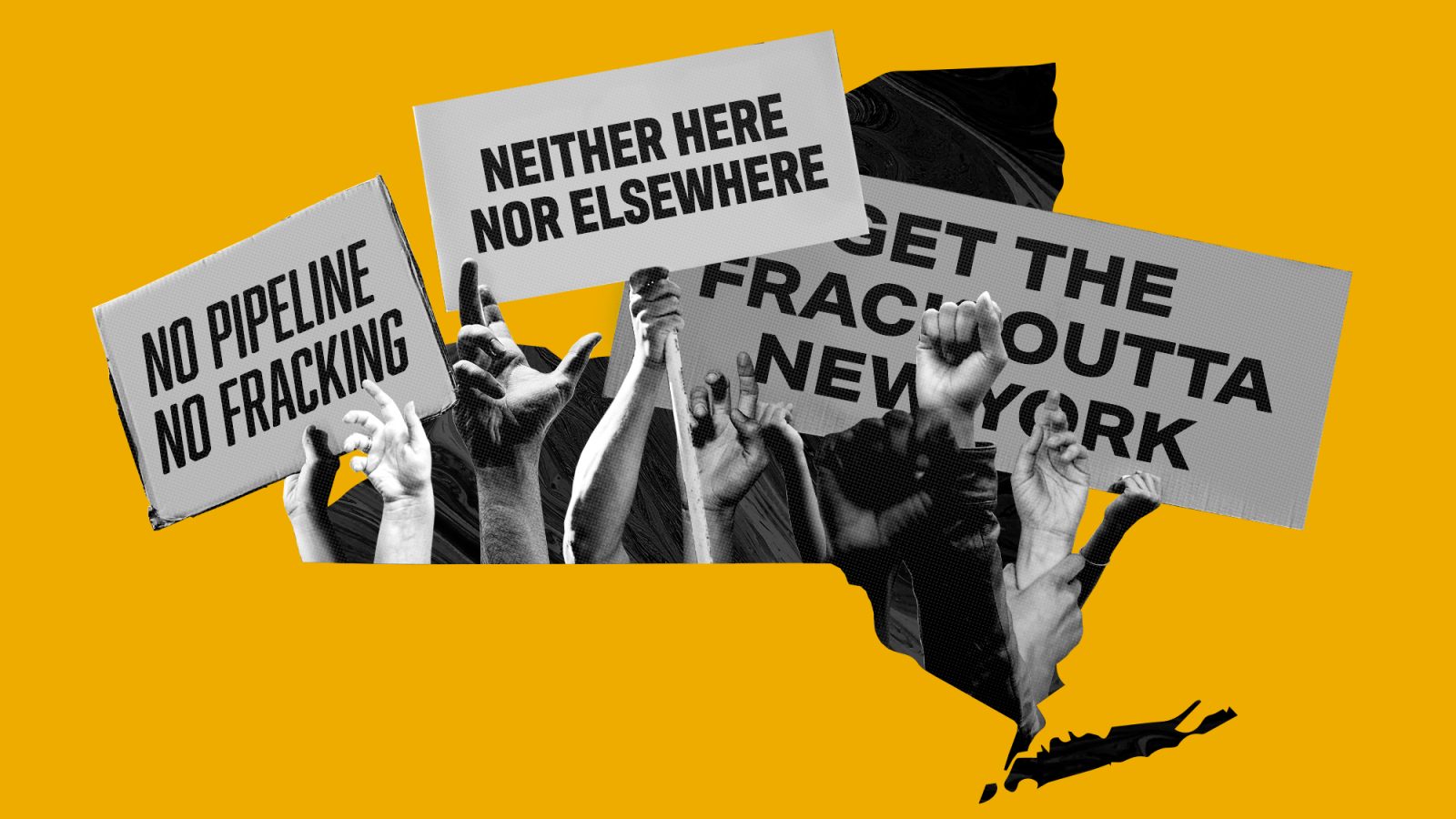 Pipeline protest signs in NY
