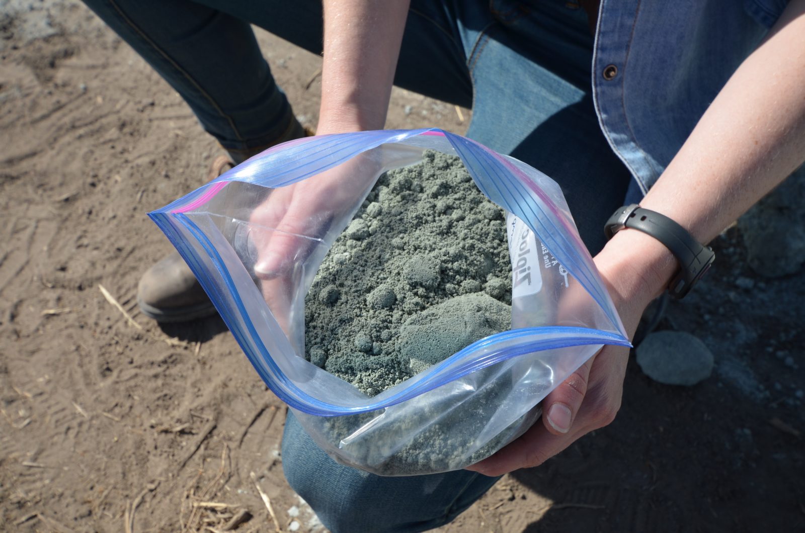 Bag of rock dust held by student