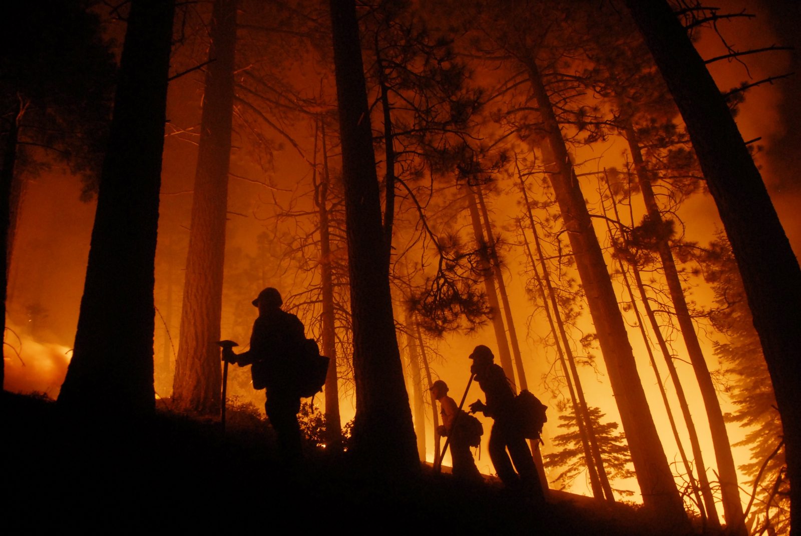 Firefighters watch a prescribed burn in South Lake Tahoe, California