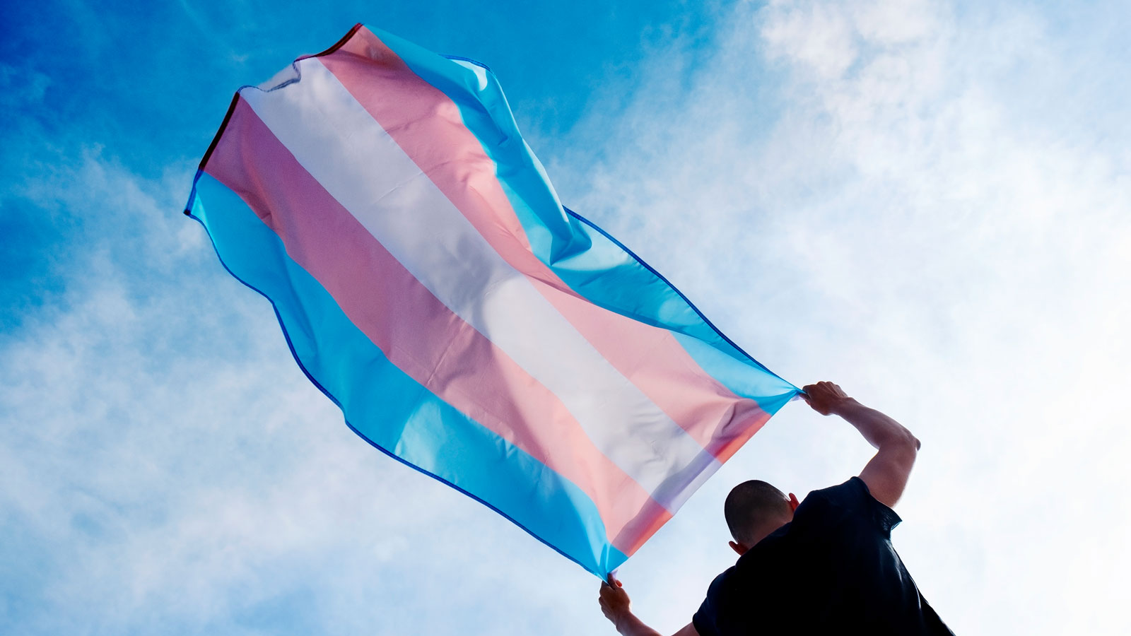 Person holding trans flag over their head