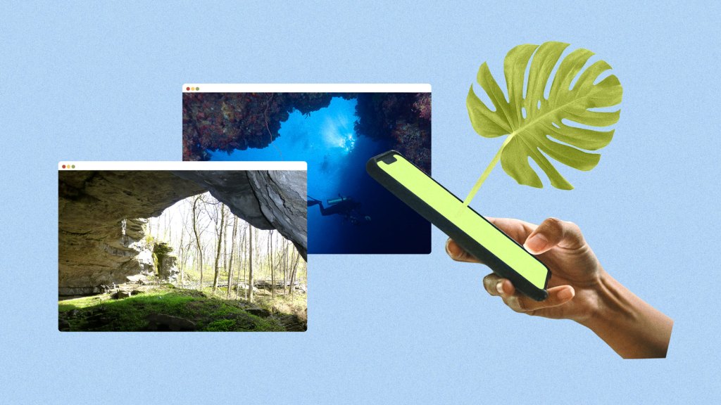 Browser windows displaying cave and underwater scene. To the right, a hand scrolls through a phone with a monstera lead popping out of it.