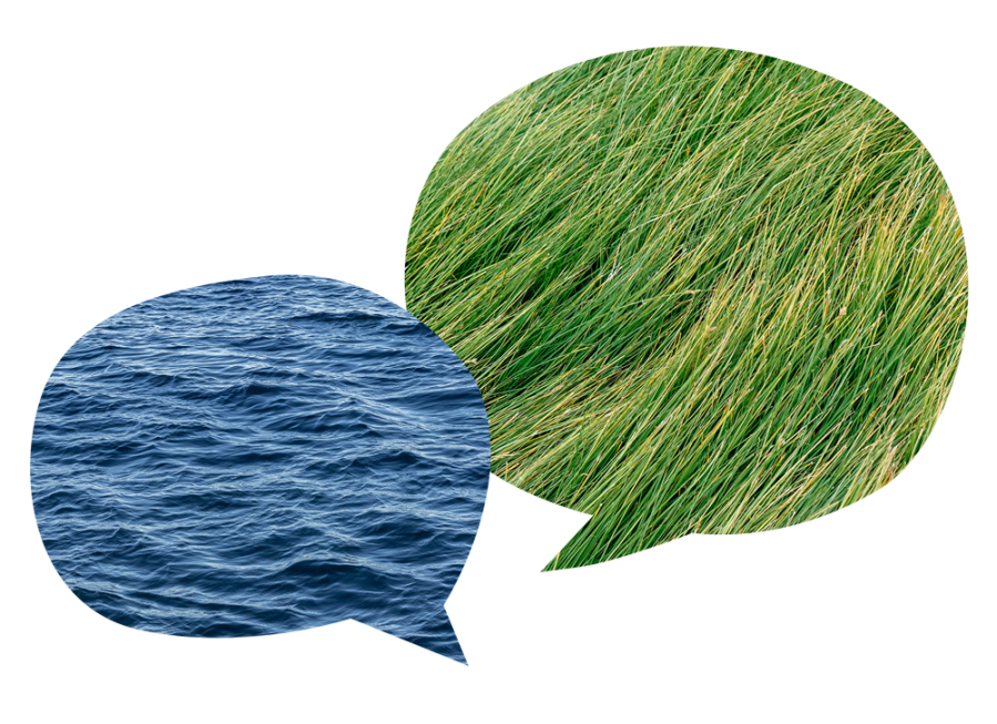 Collage of two speech bubbles, one filled with ocean water and the other with grass