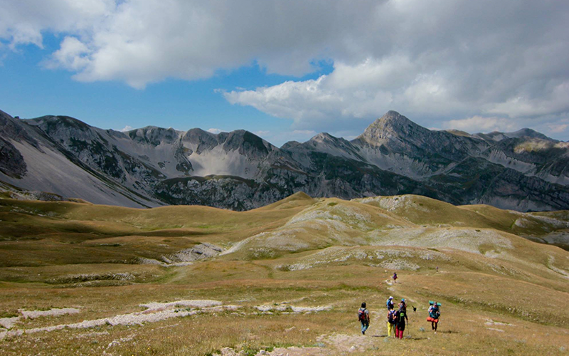 Group of hikers walk through grassy area with mountain range in distance