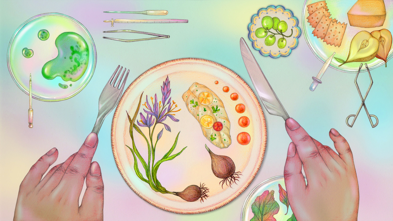 Illustration of dinner spread featuring roasted camas, fish, grapes, cheese, algae, with some food served in Petri dishes