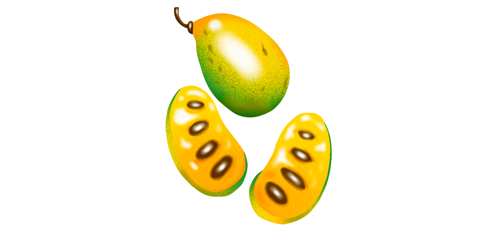 Illustration of pawpaw fruit