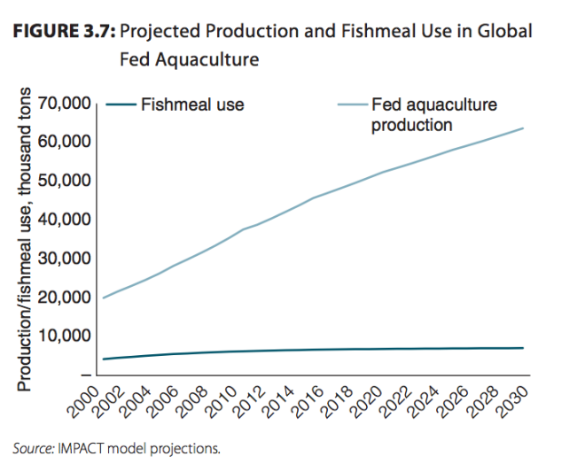 From Fish to 2030
