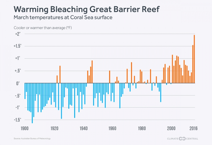warming bleaching great barrier reef