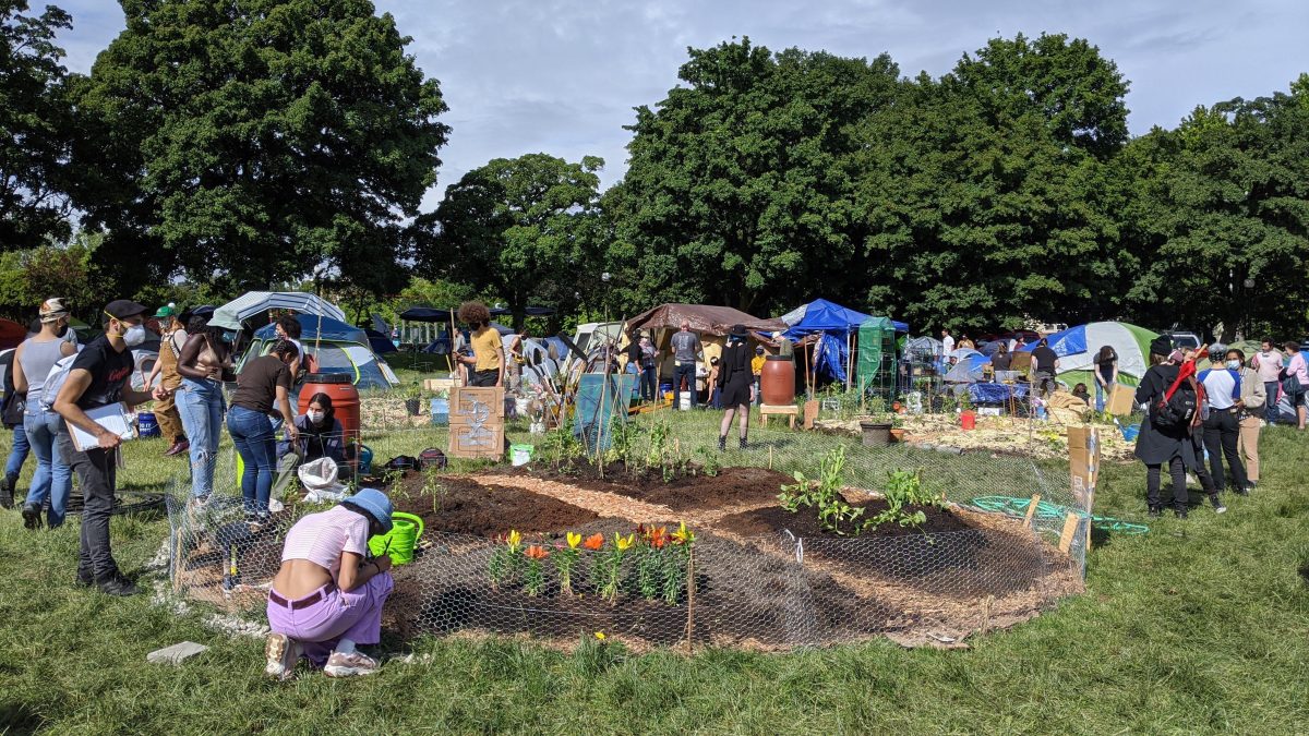 A photo shows people tending to a garden in Seattle's autonomous zone.