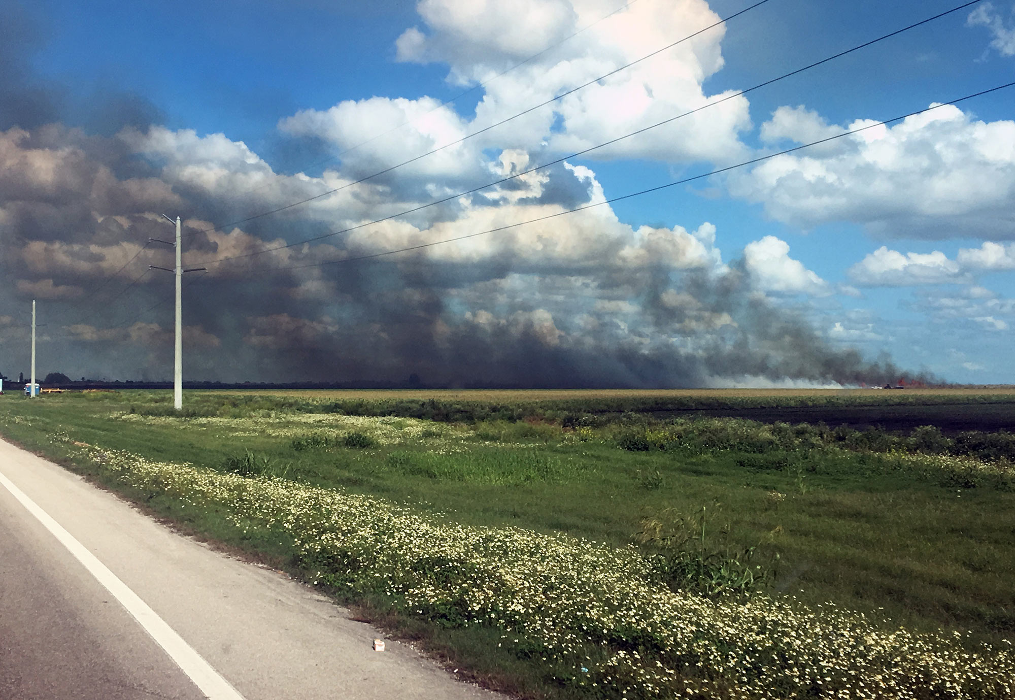 Smoke from a sugarcane burn darkens a clear sky near South Bay.