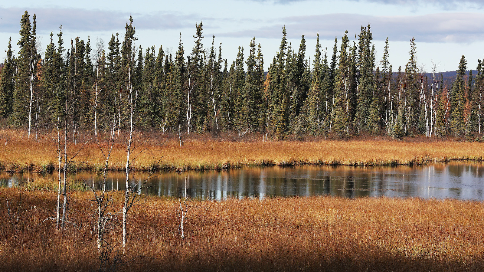 Trans Alaska Pipeline Serves As Main Artery For Alaska's North Slope Oil Fields