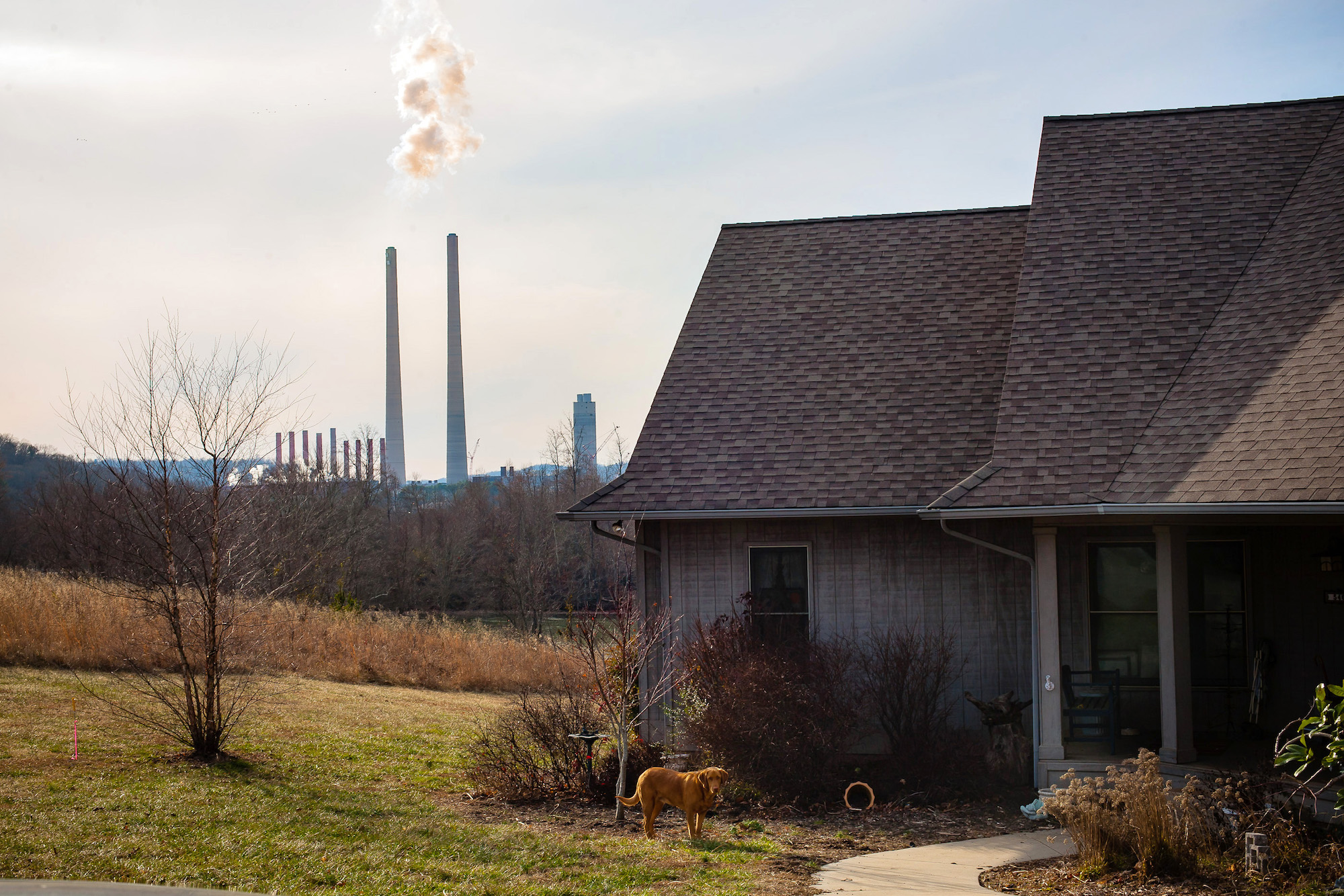 a photo of a house with a dog outside and the TVA plant in the distance
