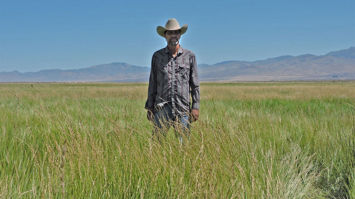 Photo of Edward Bartell standing in a field of green grass against a blue sky