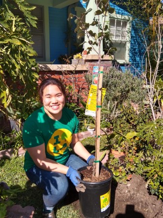 A woman in a green shirt and jeans kneels by a tree planter in front of a house, surrounded by greenery.