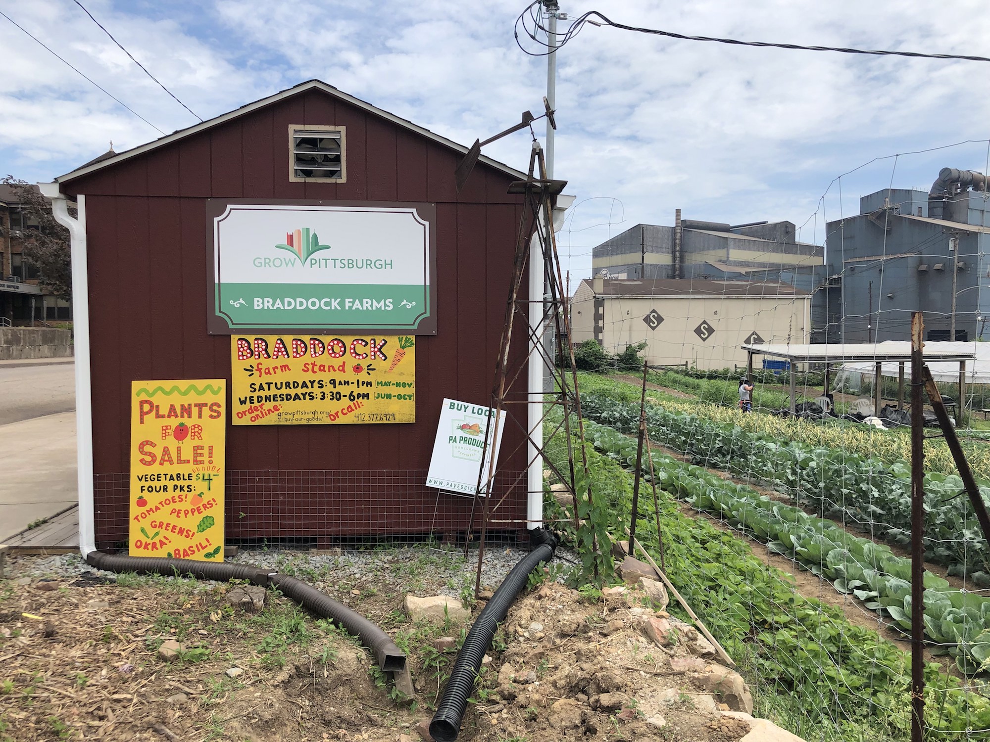 a red shed is marked with several signs including a Braddock Farms marker. To the right, there are rows of green crops growing under blue cloudy skies