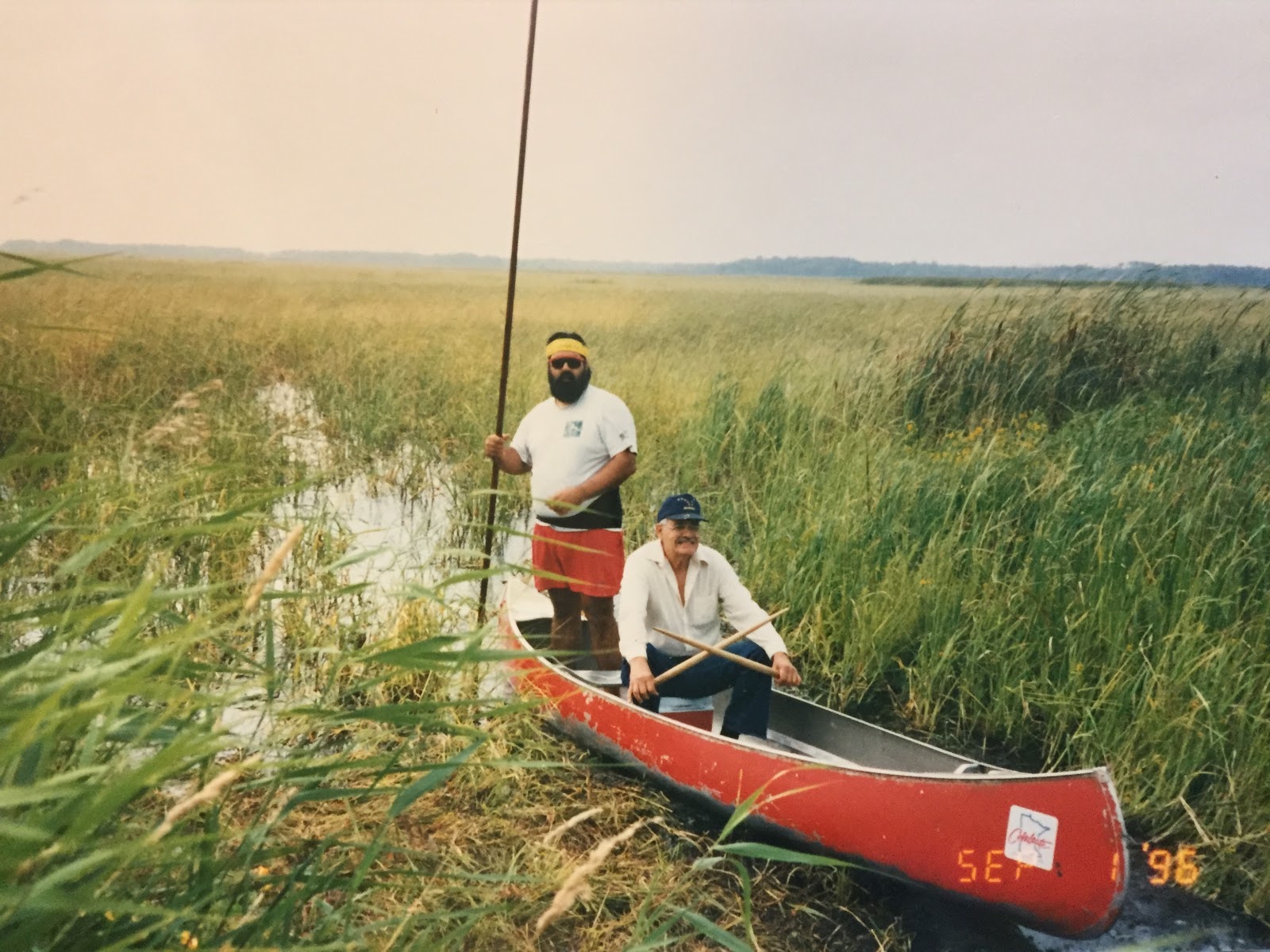 A red canoe with two men -- one bearded with sunglasses and standing, the other older and sitting in a baseball camp and white button-down shirt -- moves through a body of water thick with green stalks of wild rice