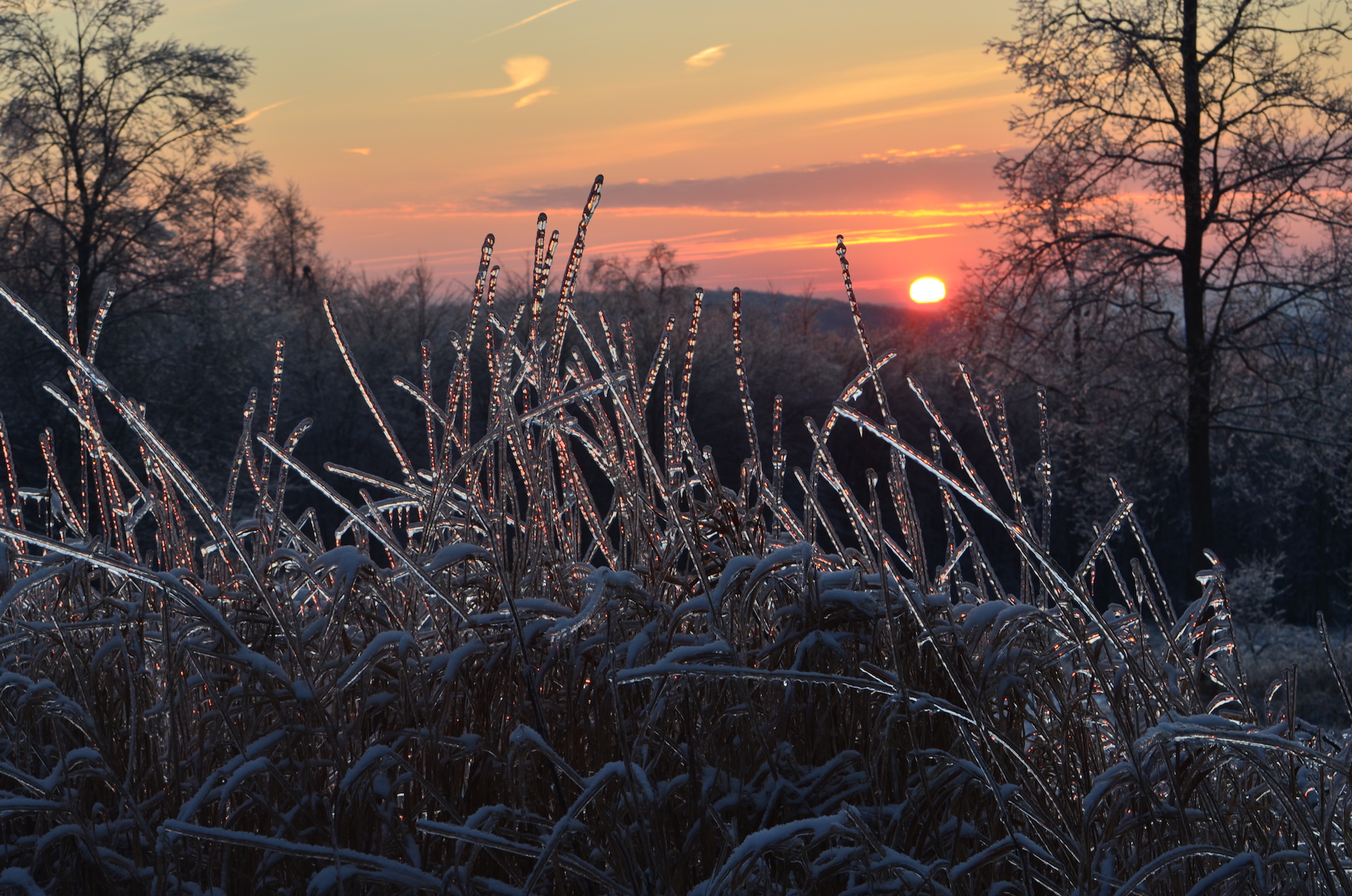 a sunset over frozen grasses