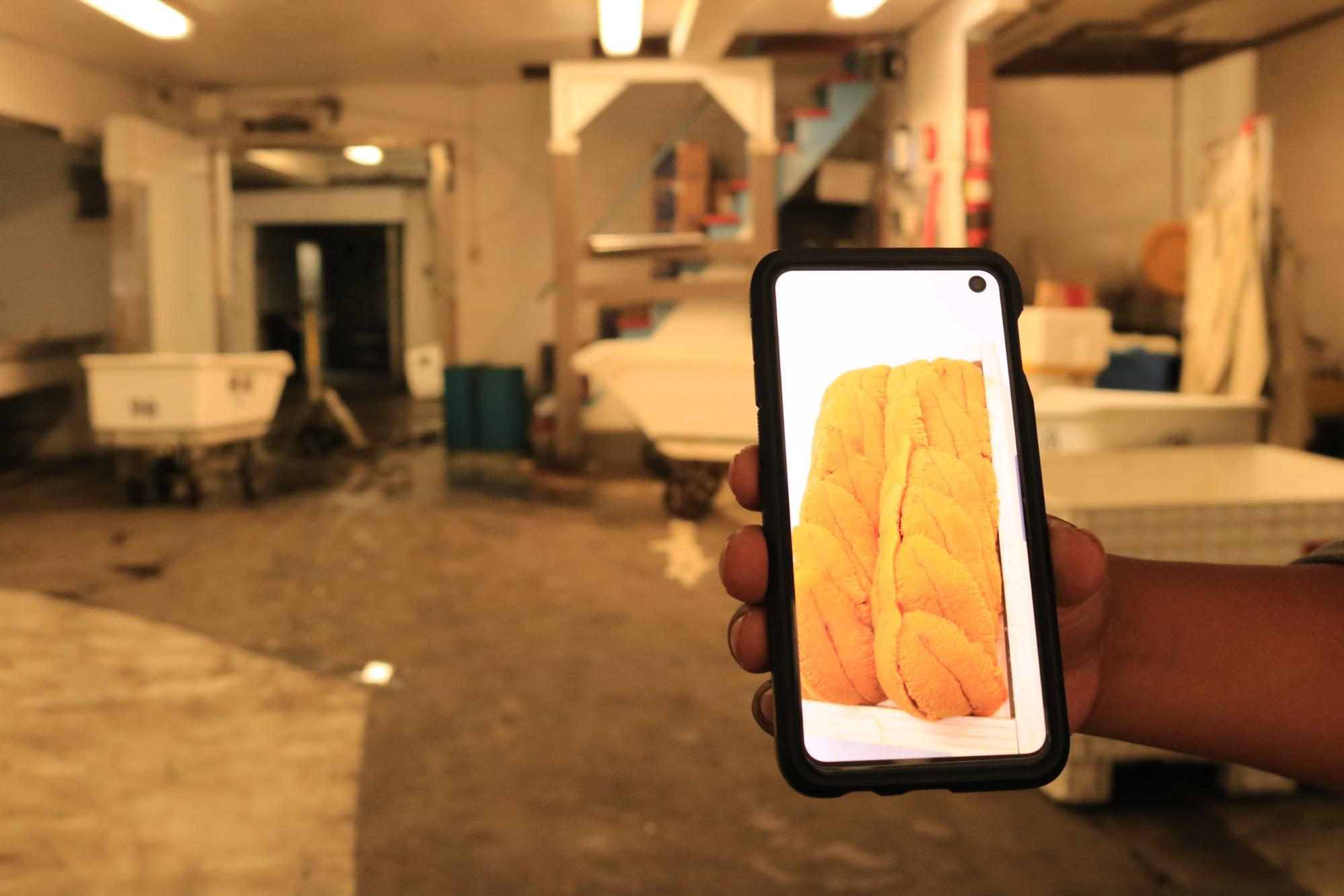 A man's hand holds up a smartphone on which an orange squishy tubular piece of sushi is displayed. In the background, a room with large plastic tubs and fluorescent lighting