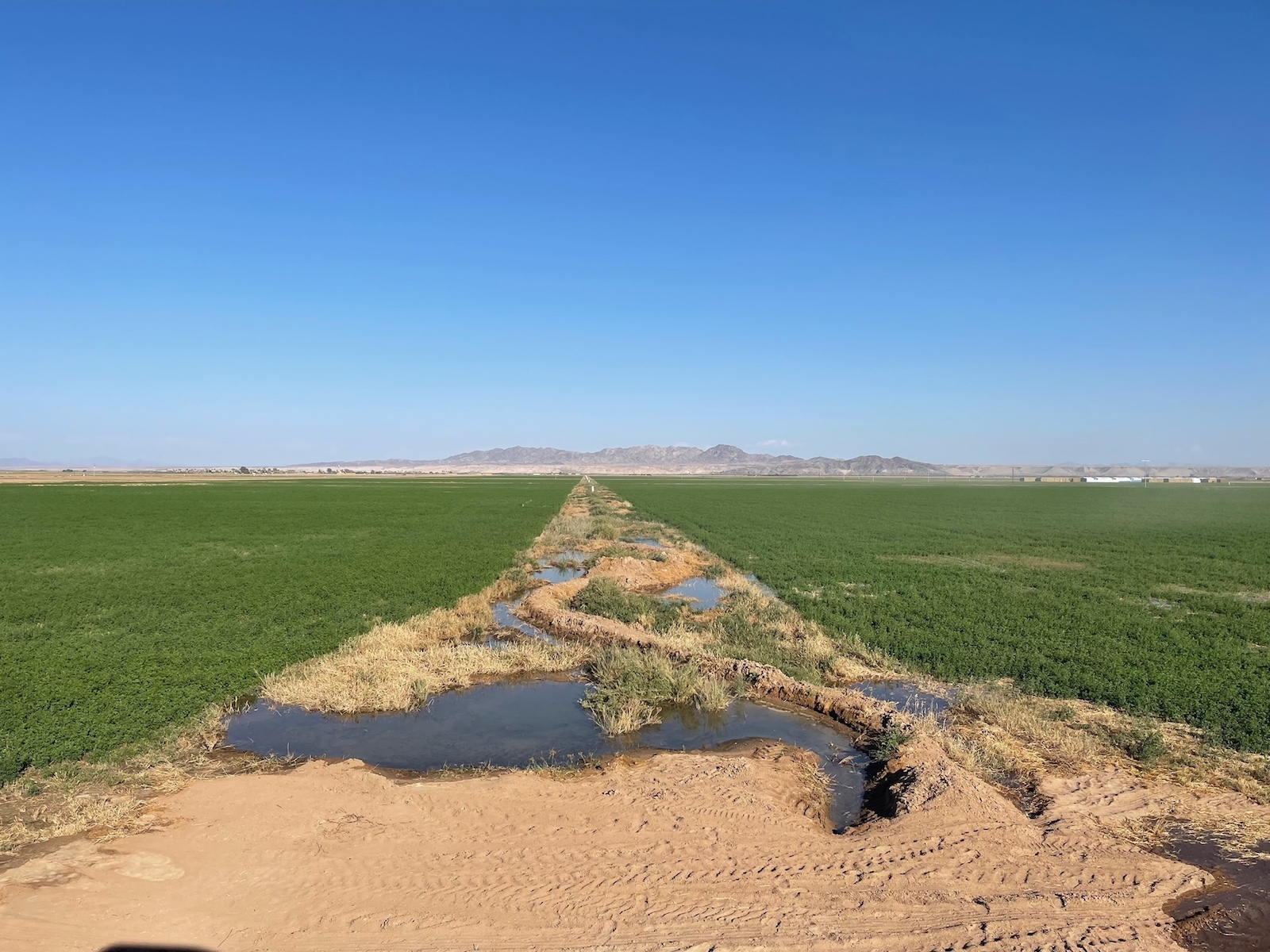 A dirt path between two green fields with a pipe leaking small pools of water