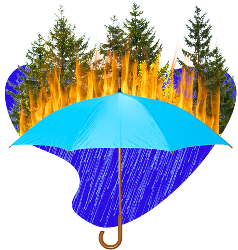 Umbrella in front of forest fire