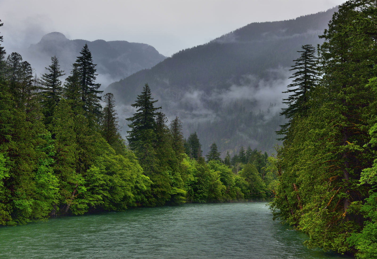 A river, pine trees, and mountains covered in mist