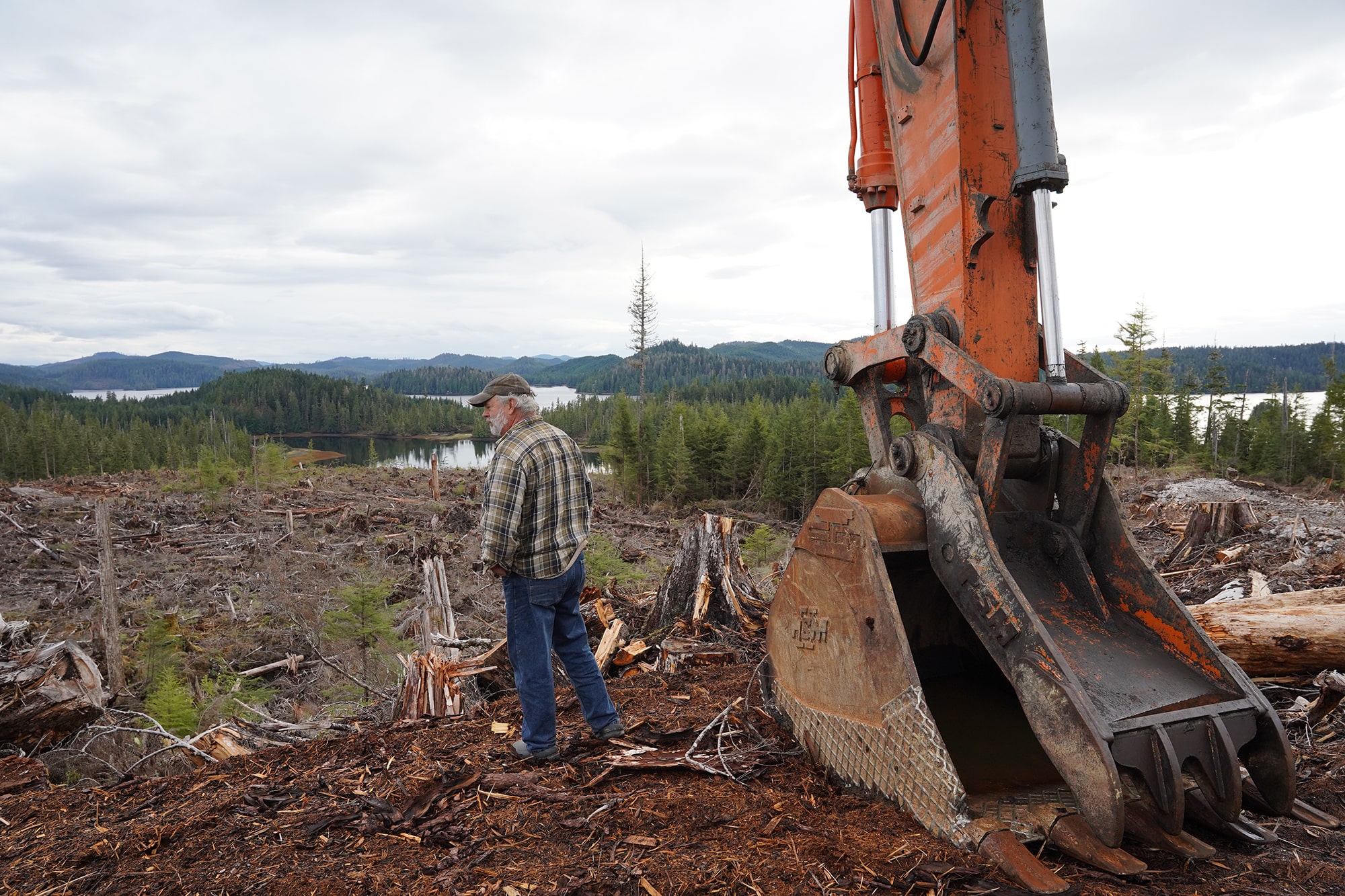 a man in a plaid shirt and baseball cap stands in a clear cut with a giant red excavator digger next to him