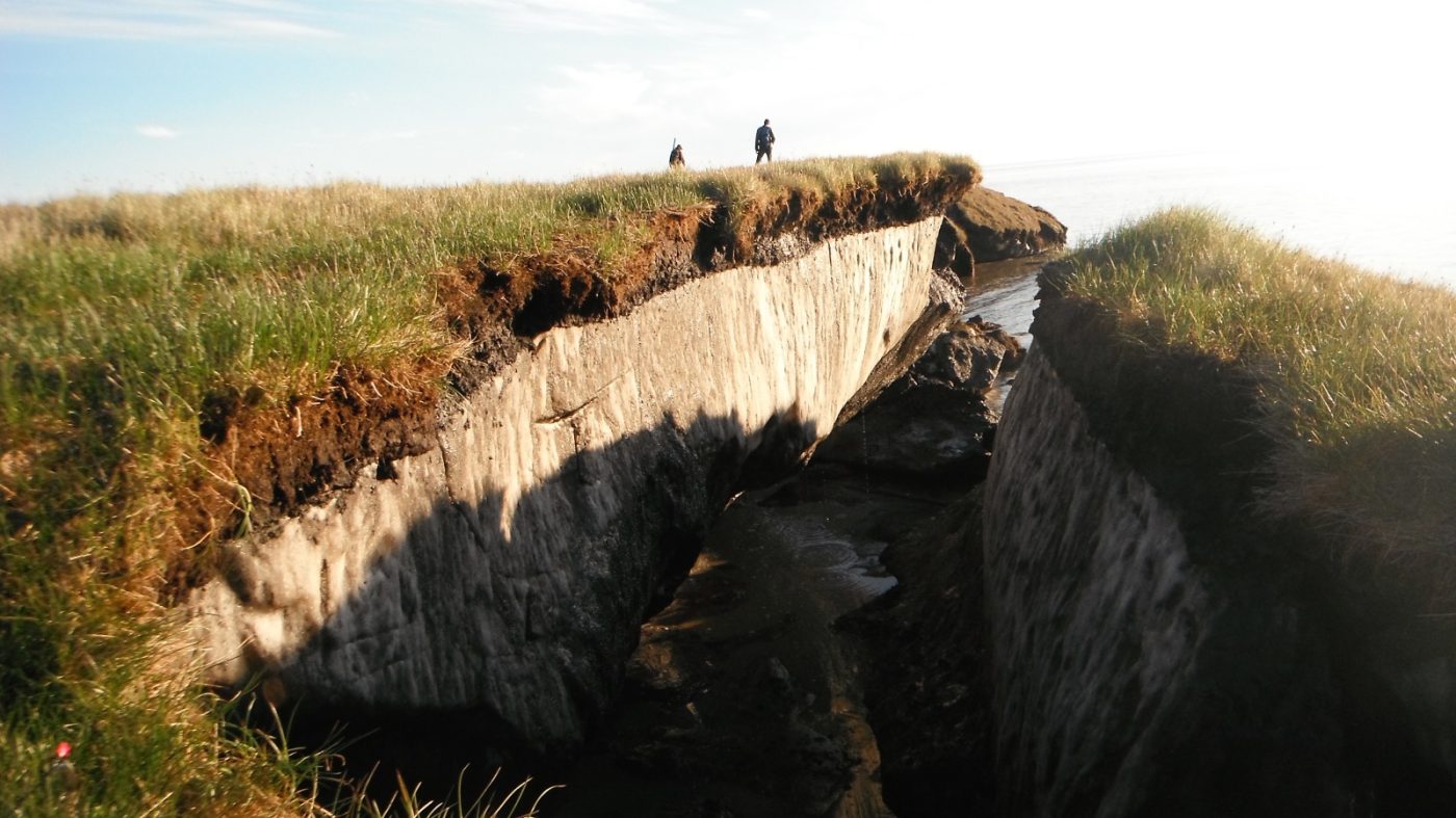 A coastal cliff that is being eroded, exposing permafrost