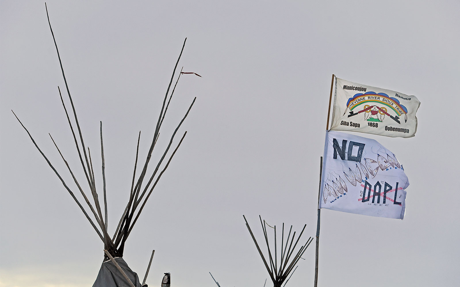 Branches coming out of the tops of tipis next to anti-pipeline flag and flag of the Cheyenne River Sioux Tribe