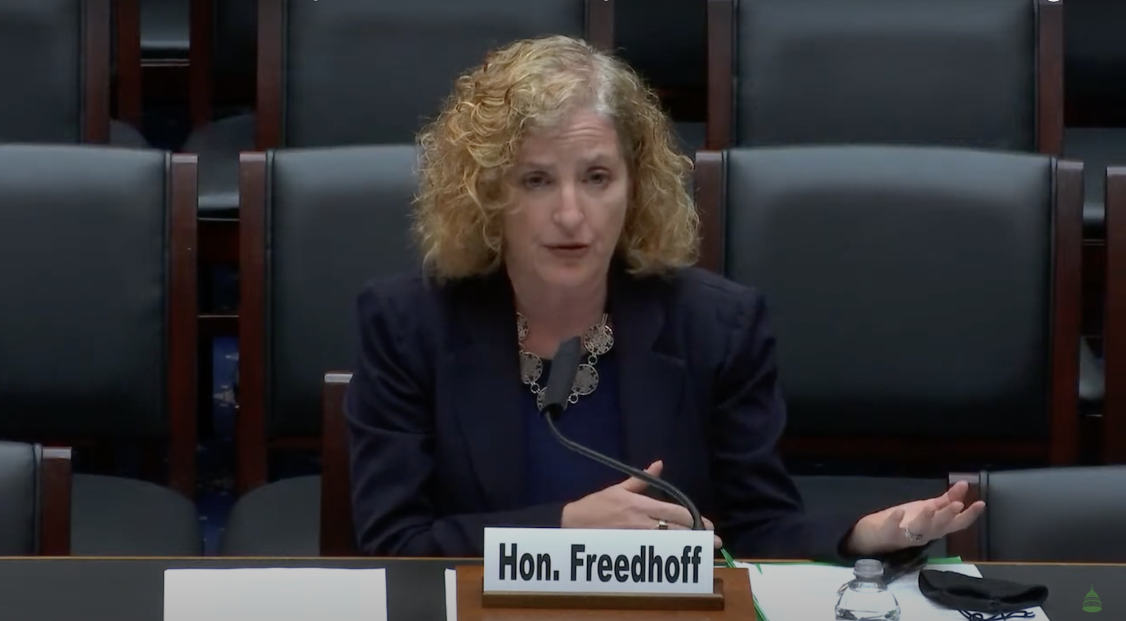 Michal Freedhoff speaks to the House Subcommittee on Environment and Climate Change of the Committee on Oct. 27, 2021.