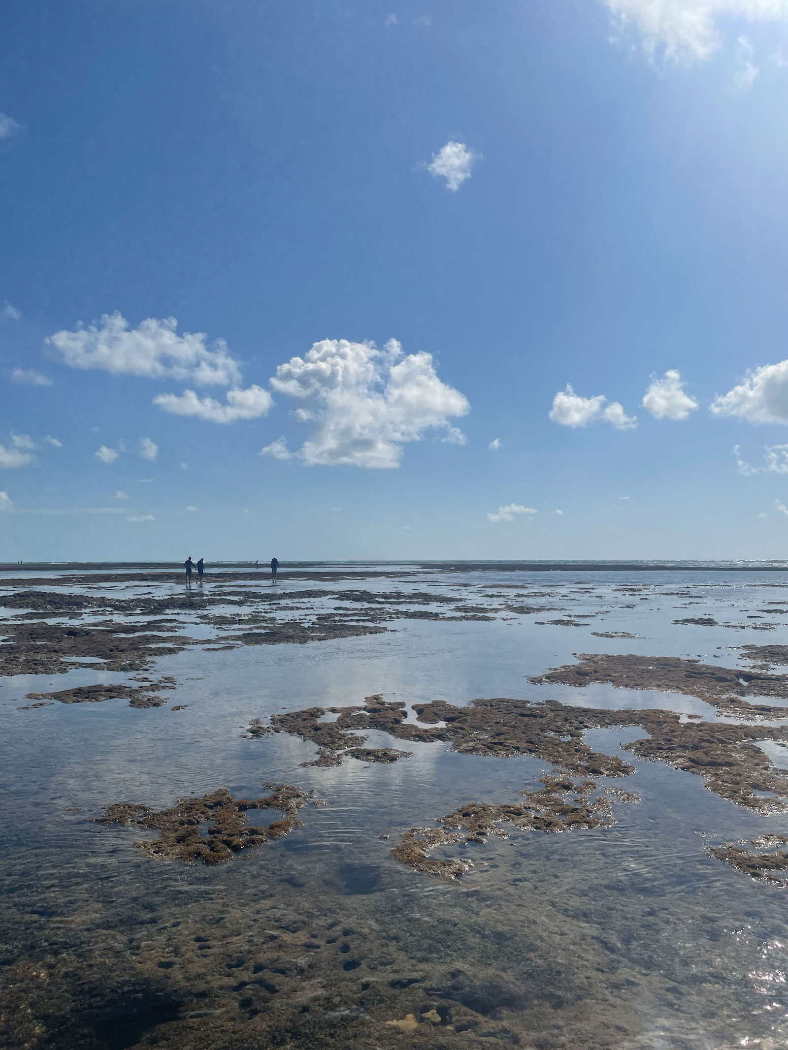 distant people figures walk along a watery stretch of shallow coral reef under a blue sky