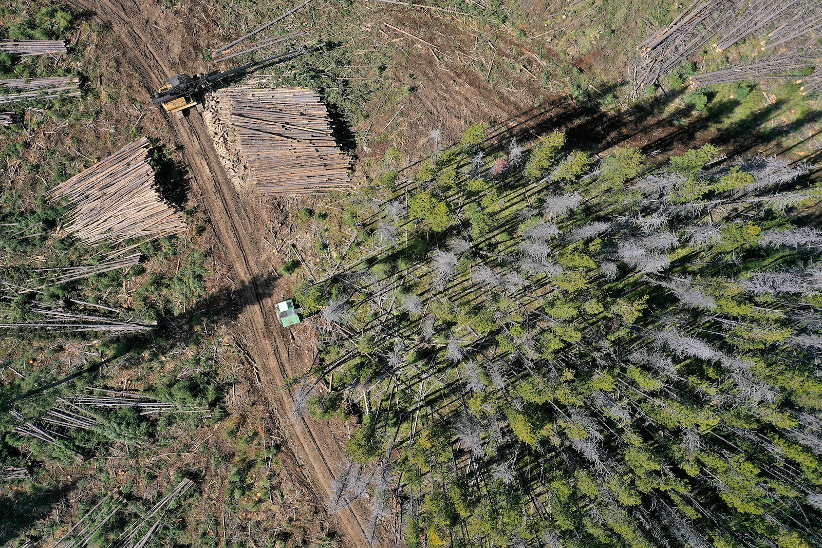 aerial view of machine cutting down trees in a forest