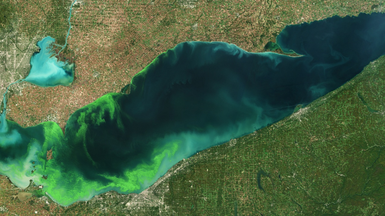 A satellite photo of Lake Erie shows bright green algal blooms on its western shores.