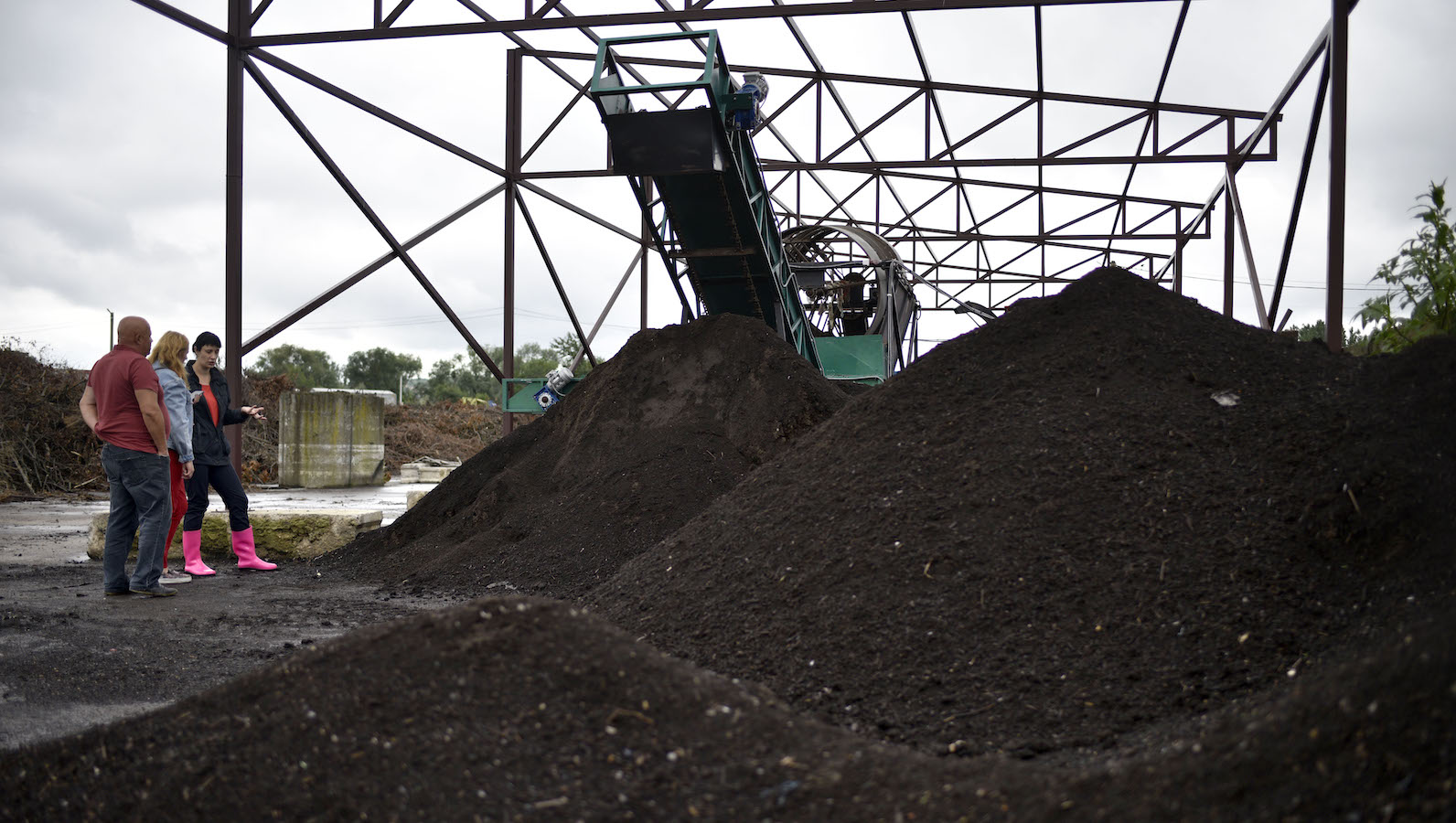 Piles of compost