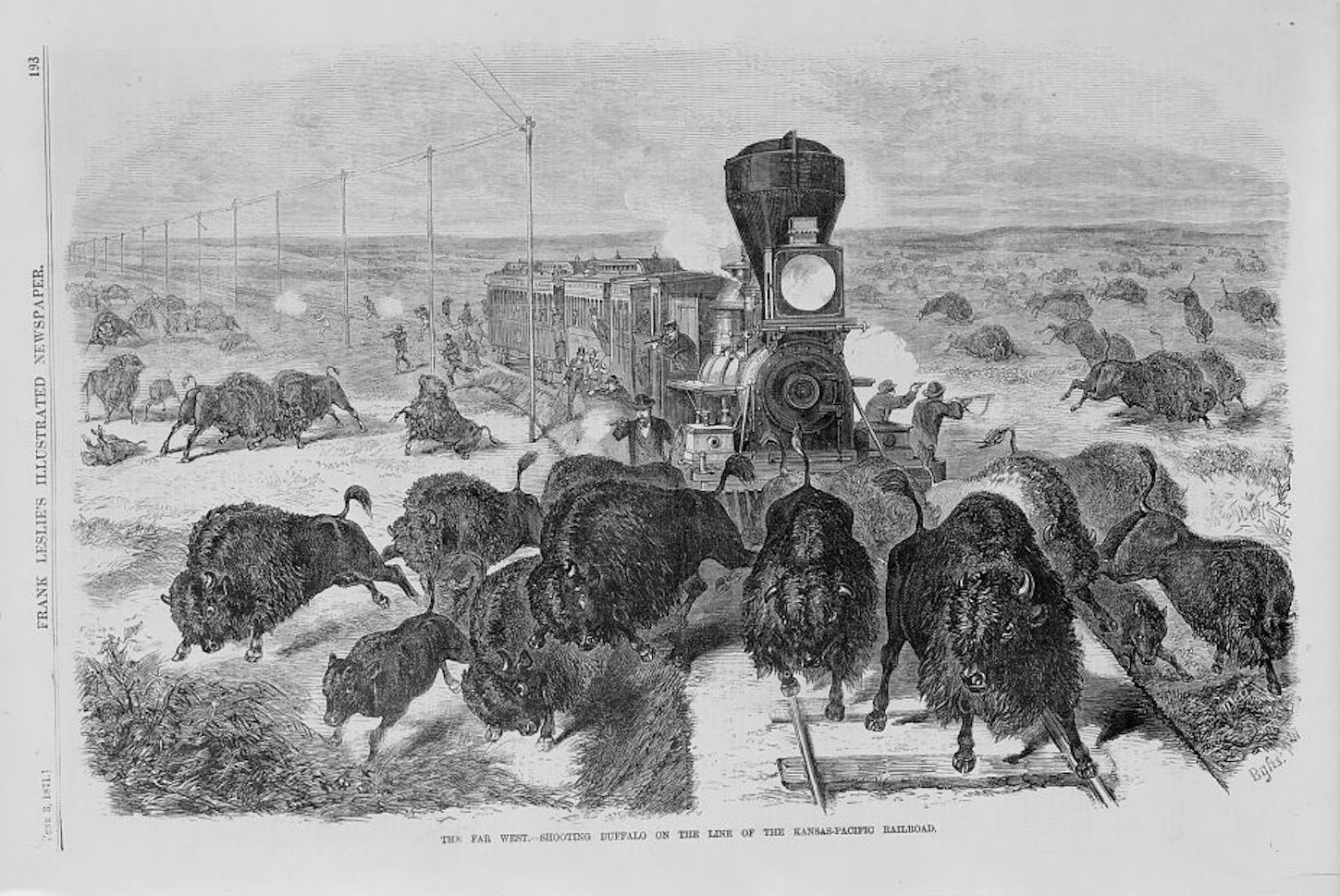 illustration of buffalo running away from a train