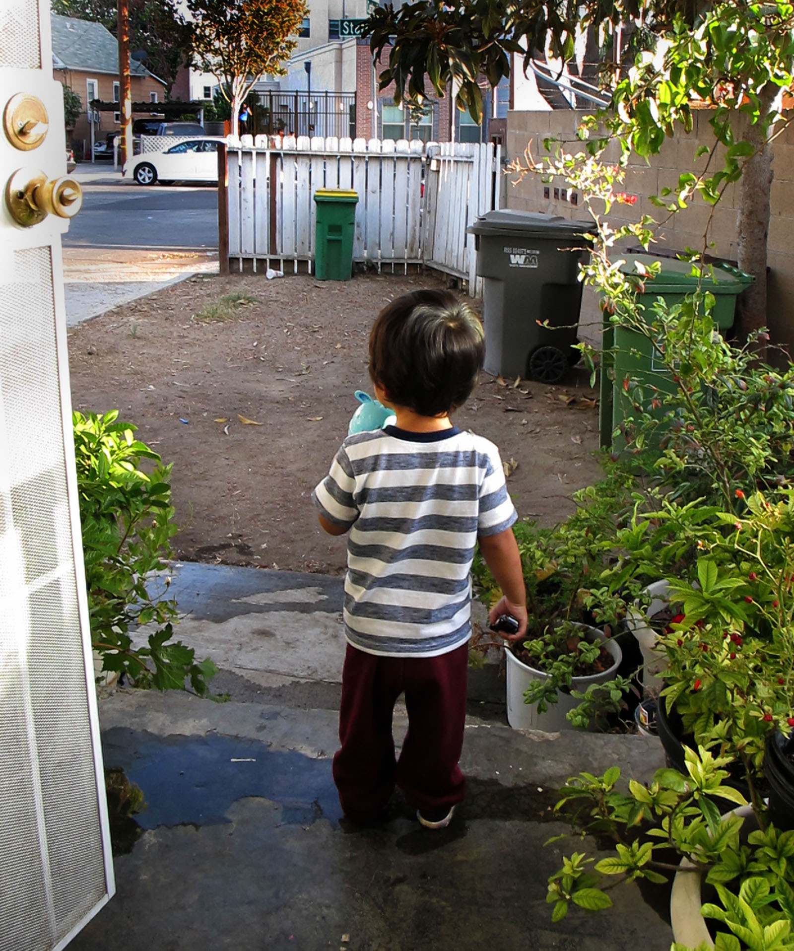 A young boy gazes at a front yard he rarely plays in due to lead soil contamination