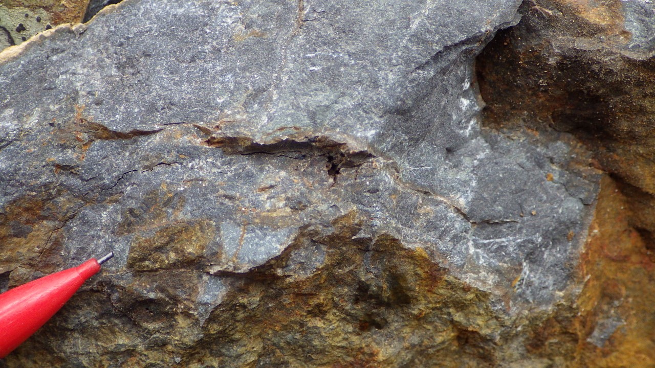 A close-up of a craggy gray rock
