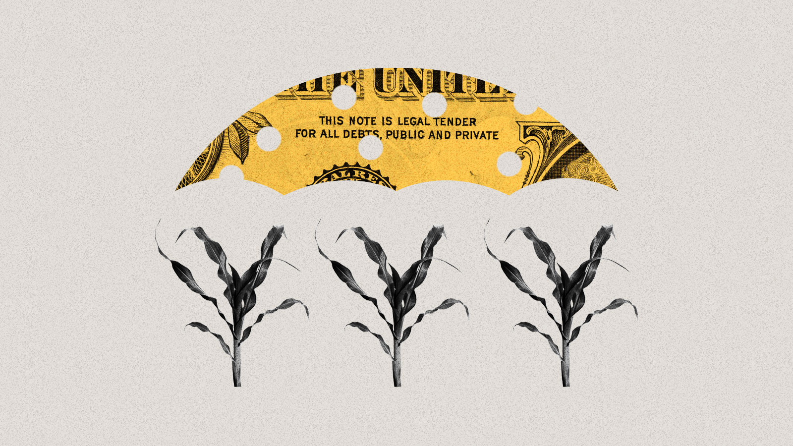Collage of corn stalks beneath a hole-filled umbrella cut from a dollar bill.