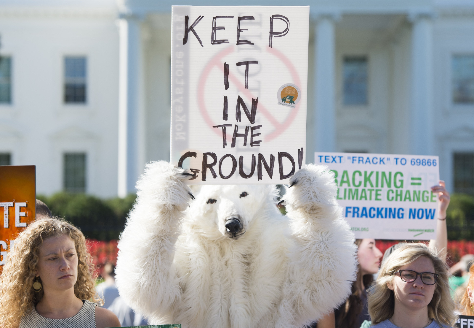Photo of a person dressed up as a polar bear holding a "keep it in the ground" sign